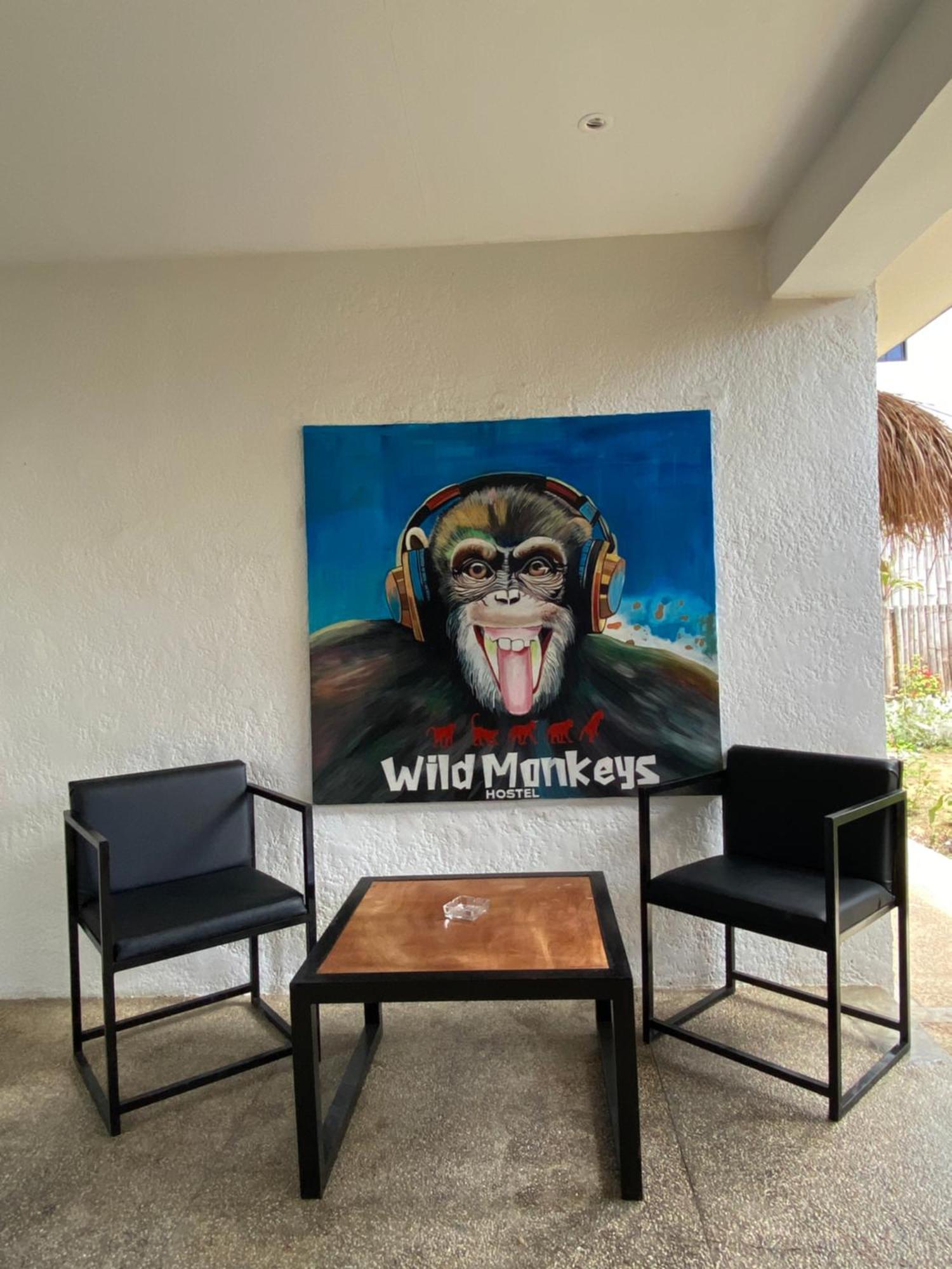 Wild Monkeys Hostel 莫阿尔博阿 外观 照片